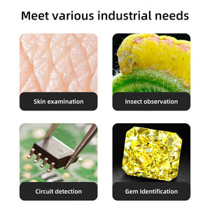 OEM portátil Mini bolsillo foto y vídeo 8LED Digital microscopio electrónico Cámara 1000X óptica para reparación móvil <span class=keywords><strong>Comprar</strong></span> en línea - Product Image 5