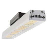 Lampe de culture LED économique, nouvelle lampe LED de toit pour serre, spectre complet, haute PPFD 520W LM301, mince, pour horticulture