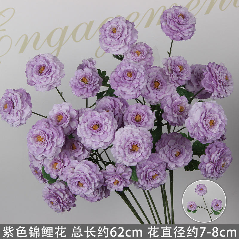 Tige de fleur de koi violette