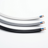Câble de construction aérien Purorigin BVVB 2 conducteurs 300V 2AWG, conducteur plat rectangulaire en cuivre, isolation PVC, norme IEC