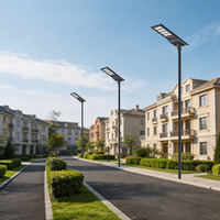 Farola Solar Integrada de 20W 30W 40W con Carga MPPT, Clasificación IP65, Construcción de Aluminio Fundido a Presión para Uso en Carreteras