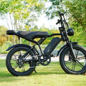 Nouveau magasin, réduction sur les vélos électriques à moins de 500 €, LED + feu arrière, clignotant, vélo cargo, aventure en pleine nature - Product Image 2