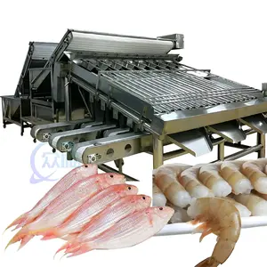 Automatische Fischs ortier maschine Sortiermaschine Fisch größen sortiermaschine