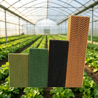 Nouveau panneau de refroidissement en nid d'abeille en papier à haute efficacité avec cadre en PVC pour élevages commerciaux et fermes avicoles