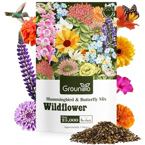 Kit de 24 variétés annuelles <span class=keywords><strong>vivaces</strong></span> fleurs jardin paquet sac <span class=keywords><strong>plante</strong></span> en colibri papillon mélange pour plancher <span class=keywords><strong>plante</strong></span> à utiliser pour les amoureux - Product Image 1