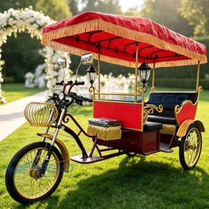 Nouvelle tendance : tricycle électrique sur mesure avec toit, bus électrique de tourisme, idéal pour les attractions de parc et les voitures classiques. - Product Image 4