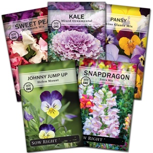 Confezioni di Semi Biologici Non-OGM di Varietà Tradizionali per Fiori Primaverili e Autunnali: Pansie, Violette, Lupini da Giardino - Product Image 1