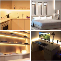 Bande LED COB 12V CC 320LEDs/m avec adaptateur de connecteur CC CRI 80 IP20 Dimmable 3000K-6000K pour l'éclairage intérieur et la décoration de la pièce