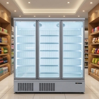 Congélateur vertical et refroidisseur de boissons de type encastrable pour supermarché