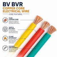 Câble Électrique en Cuivre BV BVR 2,5 mm 4,0 mm Ignifuge pour Câblage Résidentiel OEM – Vente en Gros