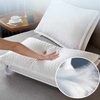 Hôtel cinq étoiles qualité noyau de coton pur coton blanc oreiller large côté oreiller de lit tridimensionnel 1 48x74cm