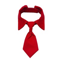 JXANRY Noeud papillon pour chat de compagnie pour la Saint-Valentin, costume, écharpe, collier, style simple, noeud papillon en forme de cœur, accessoire pour chien, polyester, écologique