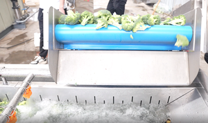 Gelgoog <b>Fruit</b> Washer Conveyor Belt Avocado Brush Washing <b>Machine</b> <b>Fruit</b> <b>Vegetable</b> <b>Processing</b> <b>Machines</b> Avocado Washing <b>Machine</b> - Product Image 3