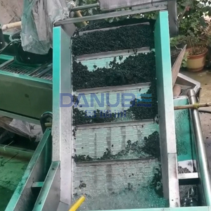 Séchoir à bande à mailles de fruits de grande capacité Déshydrateur de mûrier Nettoyage de mûrier et ligne de traitement de séchage Fabricant - Product Image 3