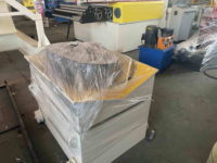 Linea di Produzione Automatica per Taglio di Bobine d'Acciaio per Tetti con Cambio e PLC