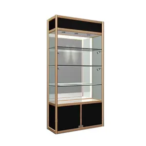 Jewelry sample display case with light customizable glass case