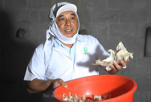 Soporte de inmunidad para uso doméstico en caja a granel 100g Nido de pájaro seco seleccionado a mano Proteína rica Potenciador de salud natural para adultos Niños - Product Image 5