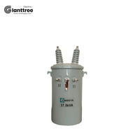 GIANTTREE 25KVA 30KVA 37.5KVA 50KVA 80KVA 167KVA Transformadores de distribución montados en poste inmersos en aceite monofásicos ZHEJIANG
