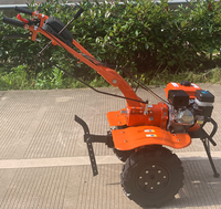 Taizhou JC-G170F moteur à essence cultivateurs agricole petit sarcleur 7hp Triller équipement agricole