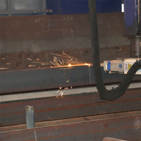 Entrepôt préfabriqué en structure métallique certifié CE / Atelier en structure métallique légère / Bâtiment industriel en structure métallique
