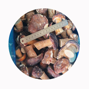 IQF congelé frais organique funghi porcini cèpes sauvage jaune champignon brun entier dés de printemps tranches morceau dés bloc Cubes coupes - Product Image 4