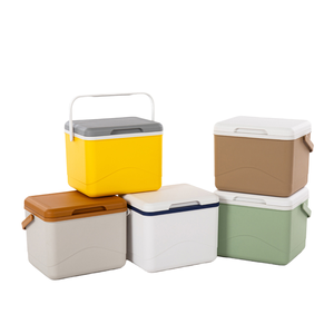 Nieuwe Aankomst Moderne 5l Draagbare Mini Geïsoleerde Pp Ijs Kist Koeler Voor Master 5l Voor Voedsel Gebruik - Product Image 3