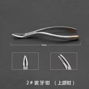Pinzas de Extracción Dental de 16 cm con Empuñadura Moleteada para Mandíbula Superior, para Adultos y Mascotas, Instrumento Quirúrgico - Product Image 1