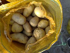 Новый сезон свежий картофель Размер 100 г + Китайская поставка - Product Image 4