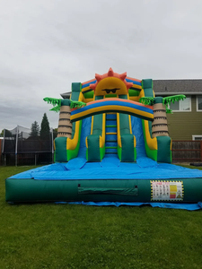 جديد تصميم التجاري العملاق نفخ المياه الشريحة قلعة نطاط ترتد منزل زلاقة مياه - Product Image 5