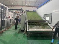 Industriële voedseldroger, banddroger voor het drogen van uien en groenteverwerking