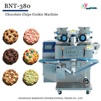 Ligne de production de machine à former des biscuits automatiques BNT-380, machine à biscuits aux pépites de chocolat, équipement de boulangerie