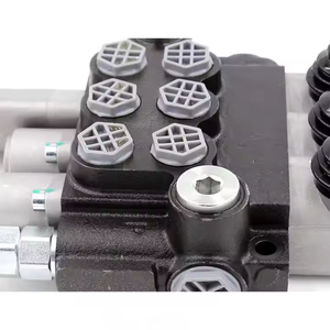 Válvula de Control Direccional Hidráulica Manual P40-G12-G38 para Maquinaria de Construcción, Agrícola e Industrial |   Directo de Fábrica - Product Image 6