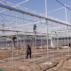 Invernadero Agrícola de un Solo Tramo a Precio Económico al por Mayor, Invernadero de Túnel de Polietileno de 3060 mm para Cultivo de Vegetales - Product Image 3