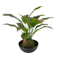 Plante Artificielle Haut de Gamme Effet Naturel, Boule de Mousse Verte Artificielle de Luxe, Haute Simulation, Écologique et Durable pour Mariage et Salon