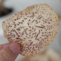 Penjualan langsung dari pabrik CIP Taro kelapa & rasa Truffle hitam Label pribadi OEM/ODM disesuaikan dapat diterima
