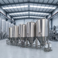 Grand réservoir de fermentation conique en acier inoxydable pour brasserie artisanale