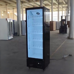 Réfrigérateur Commercial Pepsi pour Boissons, Vitrine Réfrigérée en Acier Inoxydable 201, Sans Givre - Product Image 3