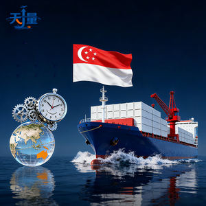 싱가포르와 비교한 우리 DDP 해상 운송 요금 |   톈량 해운에서 제공하는 가장 경쟁력 있는 LCL 운송료, 10-15일 운송기간 - Product Image 1