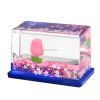 OEM ODM Créatif Personnalisé Miniature en Acrylique pour Décoration Transparente à Effet Flottant 3D et Paillettes en Mouvement, Anti-stress, Cérémonie de Remise des Diplômes