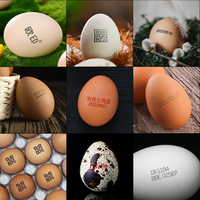 Impresora Automática de Inyección de Tinta para Huevos, Nueva, de Grado Alimenticio, con Pantalla Táctil Industrial, Tinta Solvente, Impresora TIJ, 1 Año de Garantía