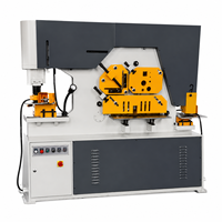 Machine de découpe, de poinçonnage et de rainurage hydraulique robuste pour atelier de fabrication métallique