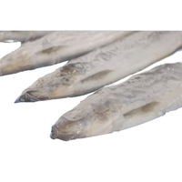 Filets de hareng congelés (Clupea pallasii) très demandés pour l'industrie de la restauration, emballés sous vide