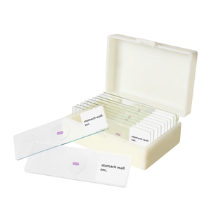 Magen wand Sec. Medical Slide Laboratory Lehr forschung Human histologie Mikroskop Vorbereitete Objektträger - Product Image 5