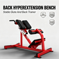 Peralatan Fitness Bodybuilding Berkualitas Tinggi Ekspor Langsung Pabrik, Bench Back Extension Komersial & Rumah Tangga dengan Garansi