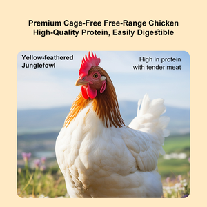 อาหารแมวออร์แกนิคแบบฟรีซดราย รสไก่ เป็ด แซลมอน 5 ถัง ช่วยระบบย่อยอาหารและสุขภาพขน โปรตีนสูง - Product Image 4