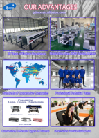 Impresora de Inyección de Tinta Automática de Gran Formato y Alta Velocidad con Tinta Eco-Solvente de 1.3m 1.6m 1.8m para Impresión de Vinilo y Pancartas