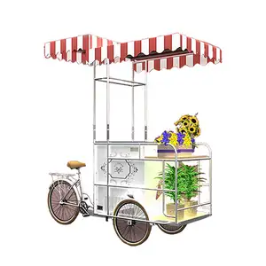 Açık dondurma bisiklet cep hızlı 3 tekerlekli elektrikli üç tekerlekli bisiklet buz Lolly Popsicle gıda satış arabası