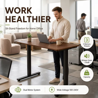 Escritorio Eléctrico Ajustable en Altura de Alta Calidad Personalizado, Mesa de Oficina Ergonómica de 120x60cm con Controlador de Memoria
