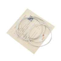 Wholesale IRIN High Quality Chinese Musical Instruments 8 String Original Sound Electric Mandolin Strings