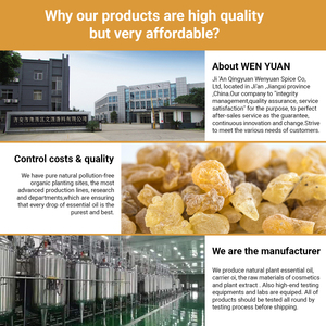 Fabricante de Óleo Essencial de Olíbano 100% Puro Orgânico Grau Cosmético Baixo MOQ Atacado para Reparação da Pele Anti-Envelhecimento Cuidados Faciais - Product Image 5